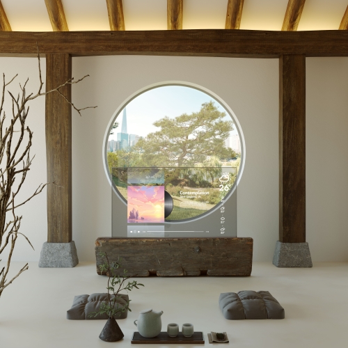LG Oled Space